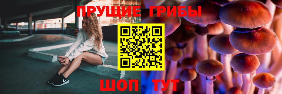 Псилоцибиновые грибы GOLDEN TEACHER  Вход с VPN  где купить   Обнинск  Псилоцибиновые грибы GOLDEN TEACHER 